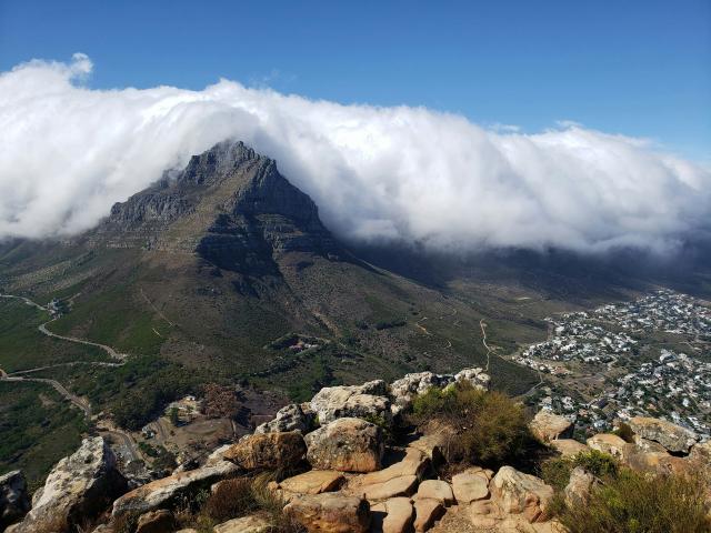 Lion's Head