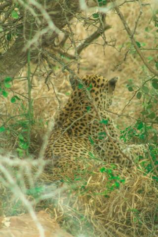 Aquila Private Game Reserve
