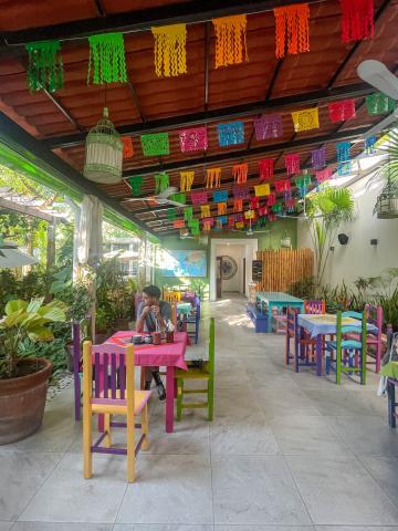 Yerbabuena del sisal