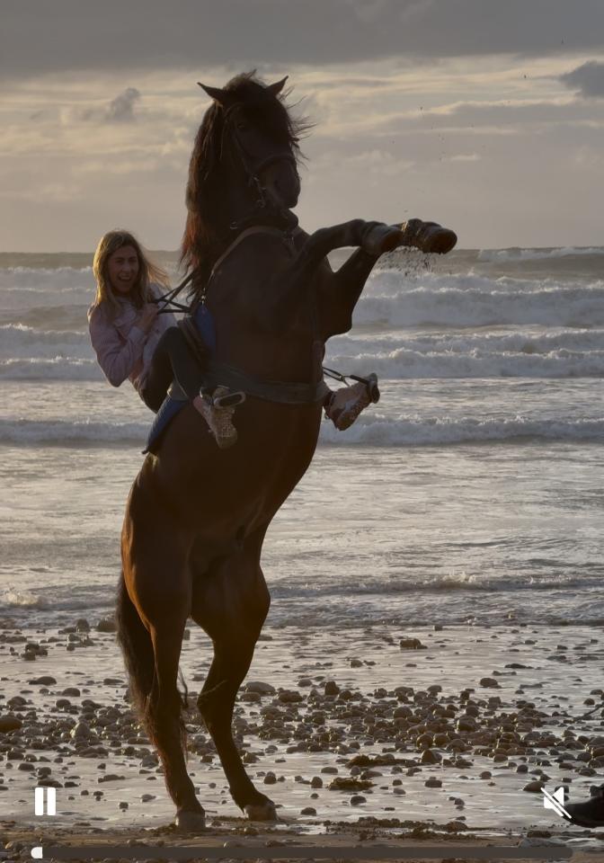 Cheval Essaouira