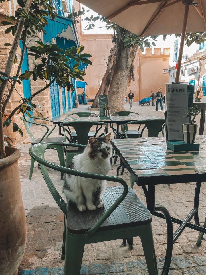 Medina of Essaouira