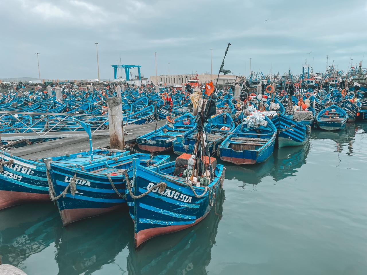 Essaouira Citadel