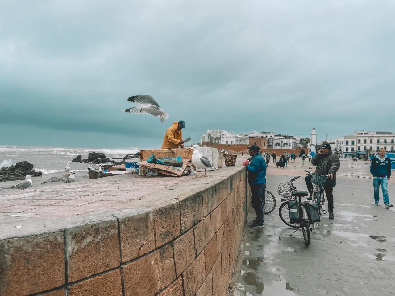 Medina of Essaouira