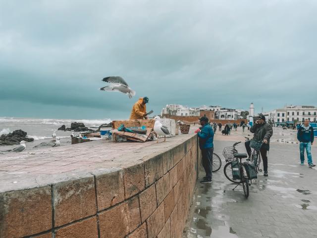Medina of Essaouira