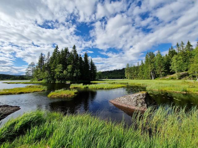 Nordmarka
