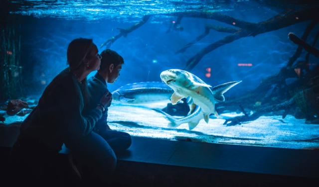 Akvariet i Bergen - Det Nasjonale Akvariet