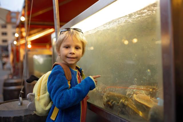 Akvariet i Bergen - Det Nasjonale Akvariet