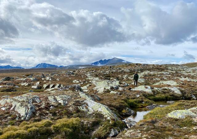 Národní park Dovrefjell-Sunndalsfjella
