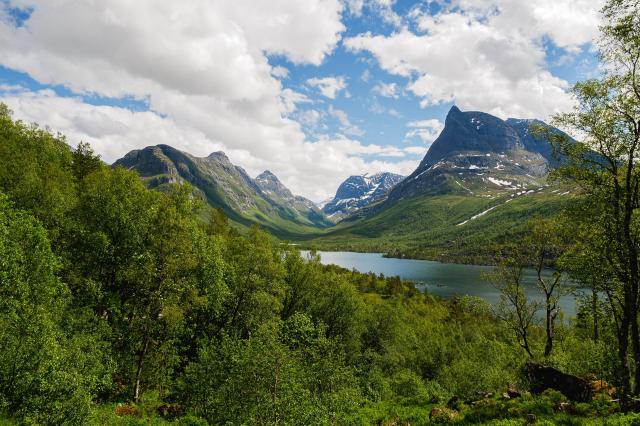 Národní park Dovrefjell-Sunndalsfjella