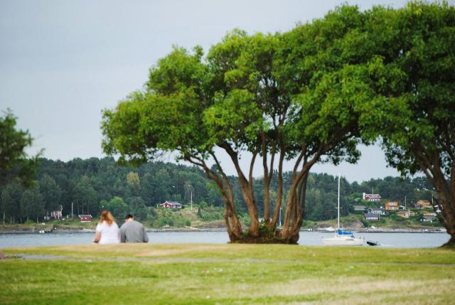 Bygdøy