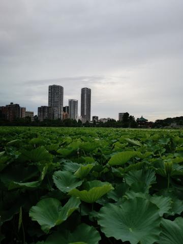 Uenokoen