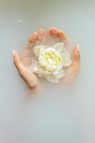 Sam Raan Spa & Wellness Center