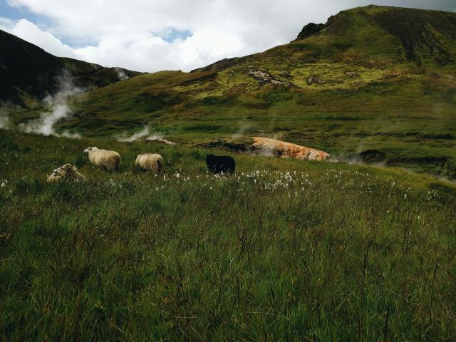 Reykjadalur