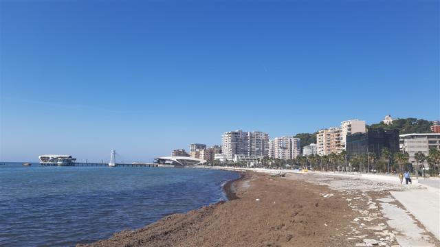 ALB-011_23_pás.jpg