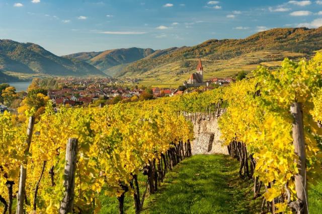 Wachau 1.jpg