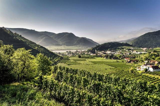 Wachau.jpg