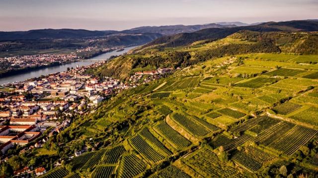 Weingut-Stadt-Krems.jpg