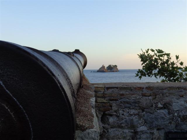 cannon-778540.jpg