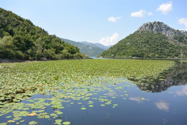 skadar-lake-469973.jpg