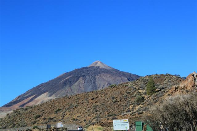IMG_7647.JPG