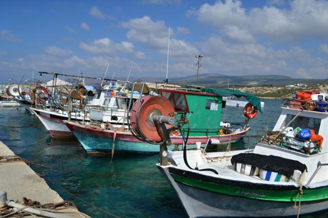 DSC_0142.JPG