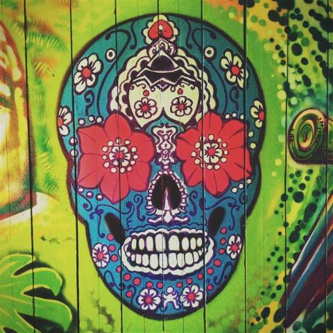 MEX-011_24_kruh.jpg