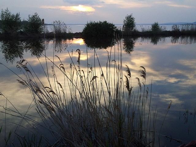 balaton 2.jpg