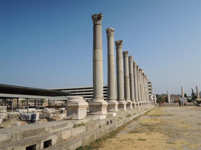 turkey-106633.jpg