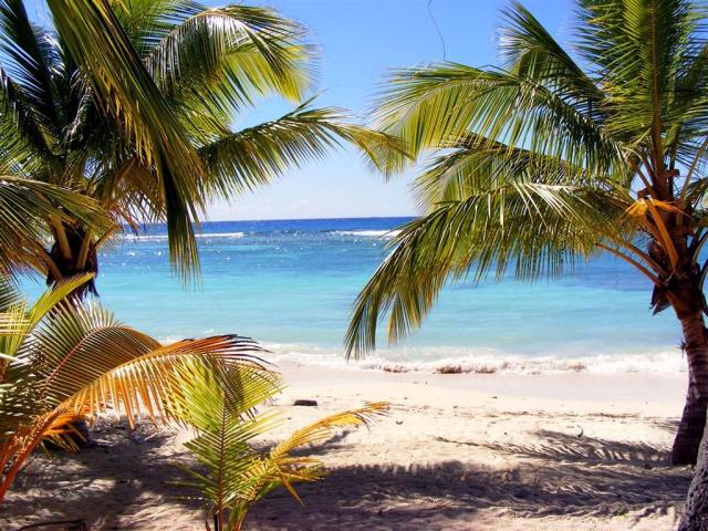 beach-2924151_1920.jpg