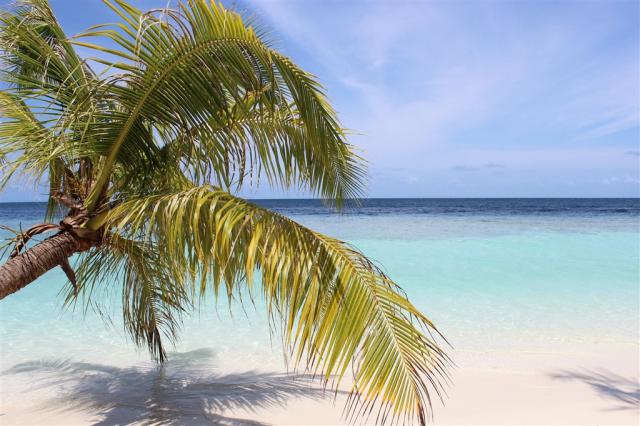 island-2593730.jpg