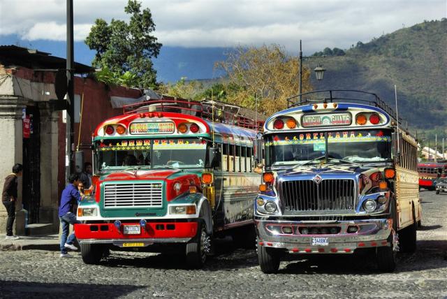 bus-776945.jpg