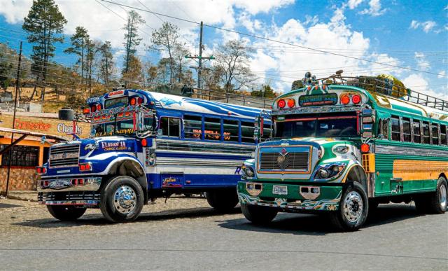 bus-5806365.jpg