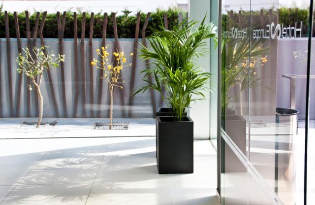 Hotel Europa Splash - lobby