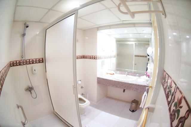 MG ALEXANDER THE GREAT HOTEL - Pokoje - STANDARD ROOM GARDEN VI