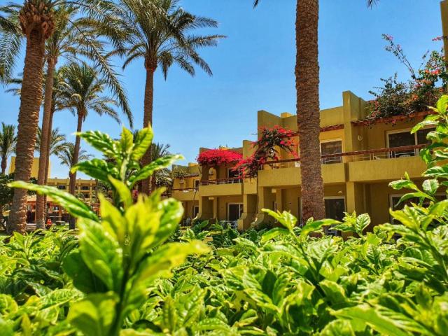 PALM BEACH RESORT HURGHADA & SPA - Obecné - Bungalov