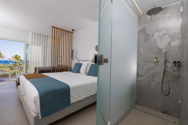 ANISSA BEACH AND VILLAGE - Pokoje - Room Comfort Double SeaView