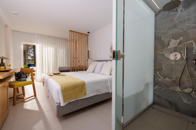 ANISSA BEACH AND VILLAGE - Pokoje - Room Comfort Double GardenV