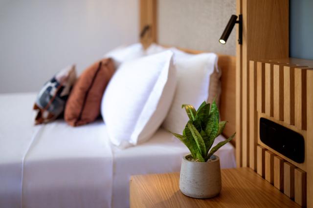 LYTTOS MARE - Pokoje - Deluxe Junior Suite Beachfront with Indi