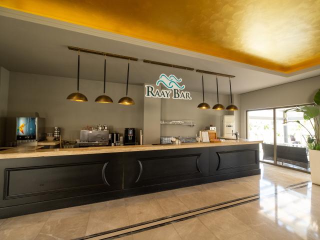 DUJA DIDIM - Bary - RAAY BAR