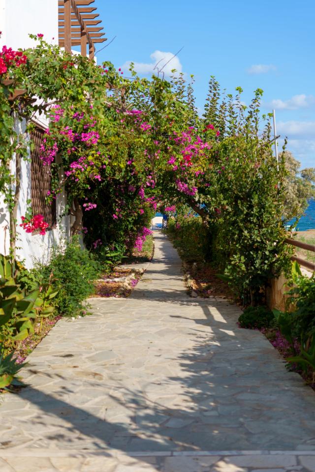 DEDALOS BEACH - Obecné - Přístavba