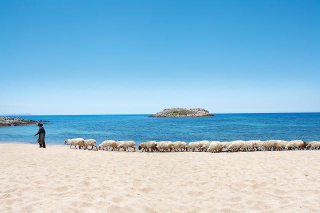 GRECOTEL MELI PALACE - Pláž - Pláž