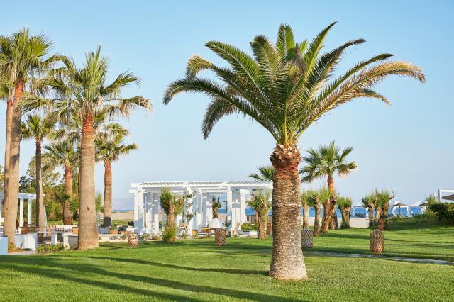 GRECOTEL CRETA PALACE - Obecné - Ostatní