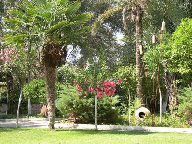 PALOMA MARINA SUITES (ADULTS ONLY 16+) - Obecné - Ostatní