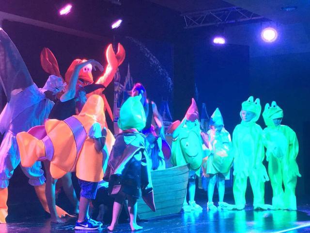 CLUB CALA ROMANI - Animace - Animace