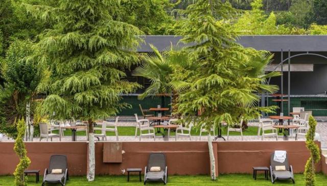 ROSE RESORT HOTEL (ADULTS ONLY 12+) - Restaurace - MAIN RESTAUR