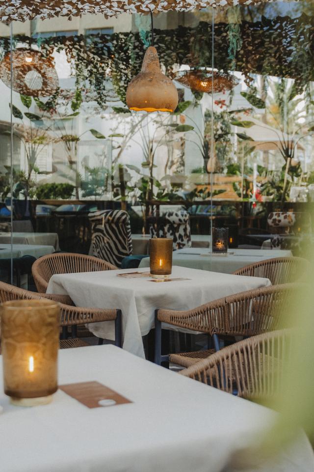ALCUDIA GARDEN APARTHOTEL - Restaurace - MALGACHE RESTAURANT