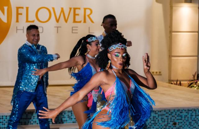VILLA SUNFLOWER HOTEL - Animace - Animace