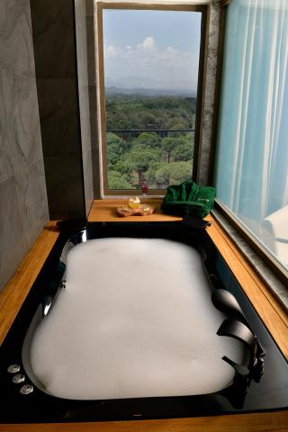 ETHNO BELEK - Pokoje - Superior Jacuzzi Forest View