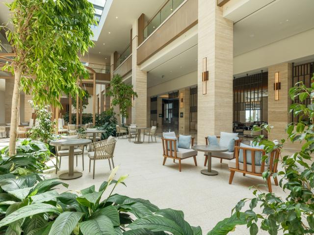 ANDA BARUT COLLECTION - Restaurace - Pastane