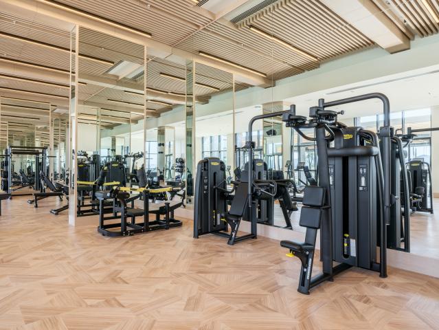 ANDA BARUT COLLECTION - Sport - Sport